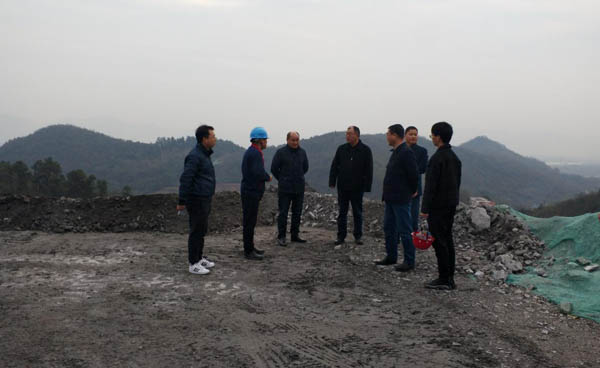 ���Ź�˾��ί����ǡ���˾������������ʯ��Ŀ���Ӳ� 