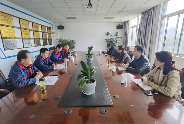 ��˾��ί��ǵ��е�֧������